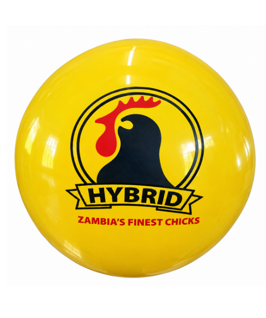 Logo printed branded balloons